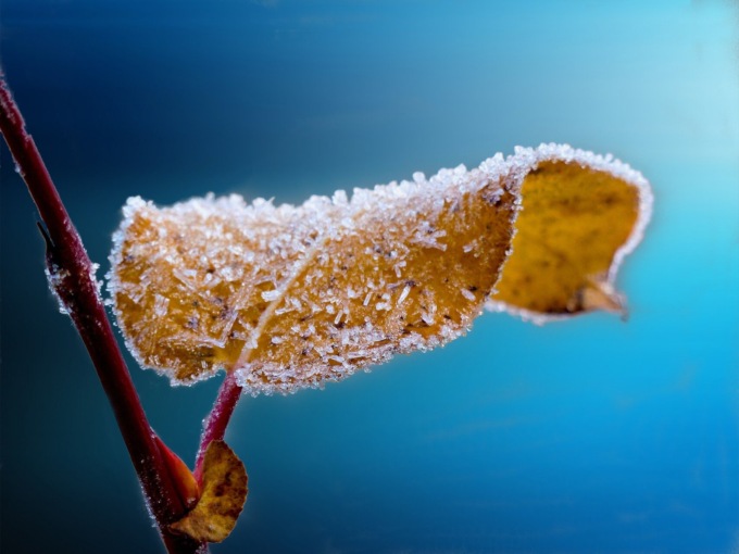 Arriva il freddo! In Lombardia temperature in picchiata e gelate notturne