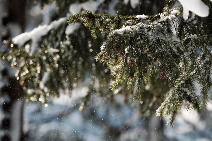 Ponte dell’Immacolata con il maltempo: giovedì arriva la neve in Lombardia