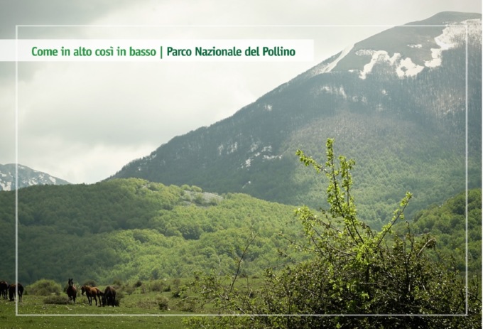 Ecco i nuovi progetti turistici di “Ambiente Basilicata”