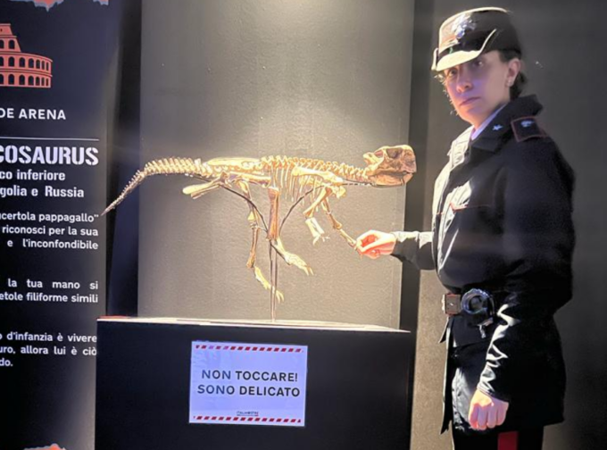 Rubate due falangi di un dinosauro di 100 milioni di anni: e adesso che se ne fanno?