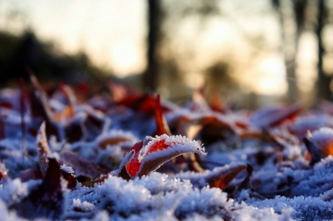 Settimana con sole, vento e gelate mattutine | Meteo Lombardia