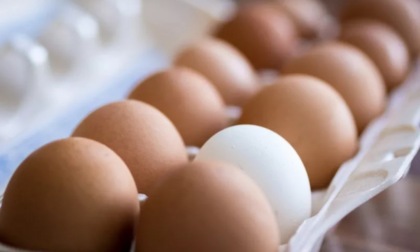 Quali sono i cibi da non conservare in frigo: uova, pomodori, frutta e non solo