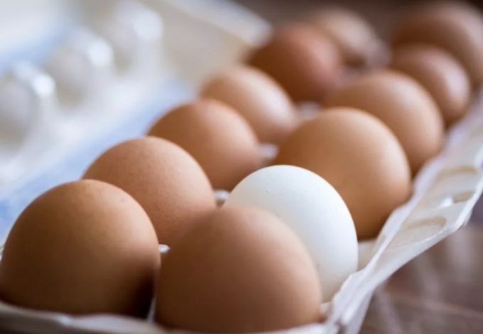 Quali sono i cibi da non conservare in frigo: uova, pomodori, frutta e non solo