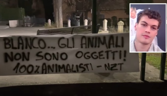 Nuova bufera su Blanco: il cane blu nel suo video fa infuriare gli animalisti