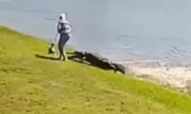Video shock: divorata da un alligatore mentre porta a spasso il cane