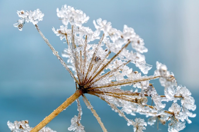 La settimana inizia con freddo e forti gelate | Meteo Lombardia