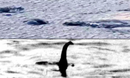 Sul lago d'Iseo è scattata la psicosi da mostro di Loch Ness: il video shock