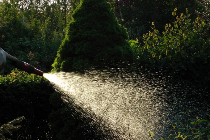 Il risparmio di acqua passa dall’orto 4.0