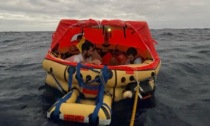 Barca a vela affondata da una balena: l'equipaggio alla deriva per 10 ore su un gommone