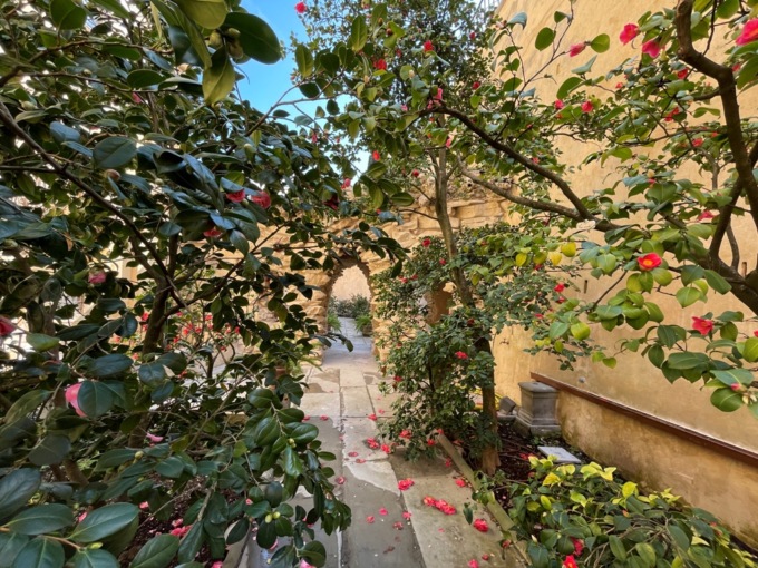 Boboli, a Firenze riapre il “Giardino delle camelie”… imperdibile!
