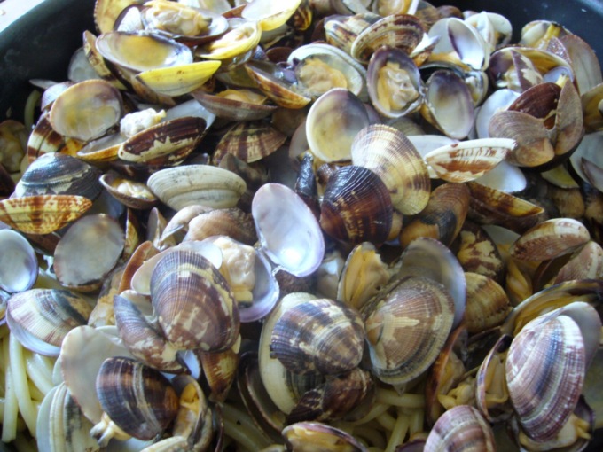 Escherichia coli nelle vongole: i prodotti ritirati dal mercato
