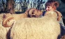 Da giornalista a pastora, poi i due figli: "Vendo tutte le pecore, ma che non vadano al macello"