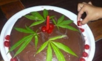 Cucina una torta a base di hashish e la porta a una festa: in dieci finiscono in ospedale