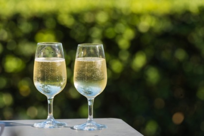 Cosa fare in Veneto nel weekend: gli eventi di sabato 15 e domenica 16 aprile 2023