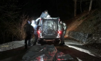 Catturata nella notte l'orsa Jj4 che ha ucciso il giovane runner Andrea Papi in Trentino