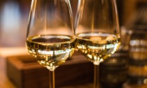 Il gran ritorno dell’Aligoté, il sorprendente vino bianco di Borgogna