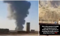 Il video del mega incendio in Texas nel quale sono morte 18mila mucche
