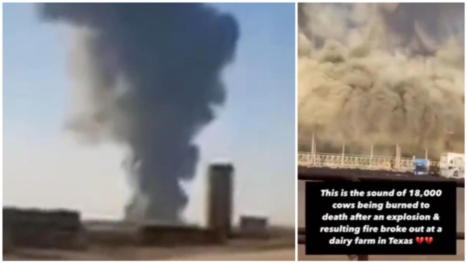 Il video del mega incendio in Texas nel quale sono morte 18mila mucche