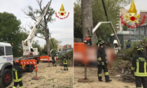 Altro incidente mortale durante la potatura di un albero. E a Milano mentre i due giardinieri morivano si giocava a golf...