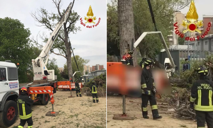 Altro incidente mortale durante la potatura di un albero. E a Milano mentre i due giardinieri morivano si giocava a golf…