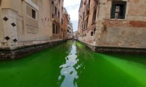 Acque verde fluo a Venezia: svelato di cosa si tratta. Il precedente del '68