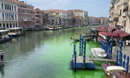 Venezia, perché l'acqua del Canal grande è diventata verde fosforescente