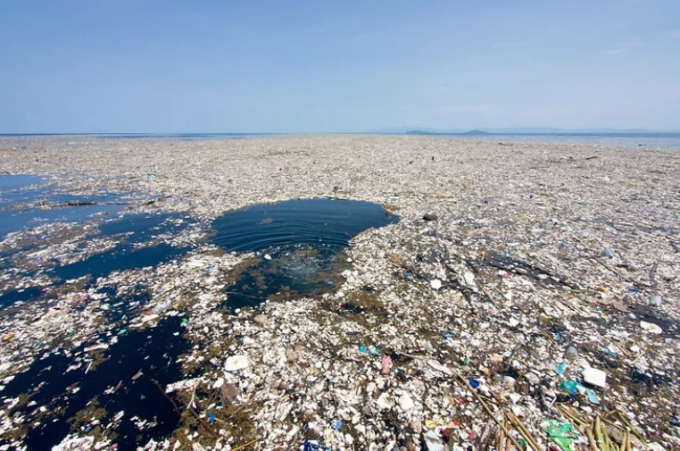 Specie marine si sono adattate a vivere sulle isole artificiali formate di rifiuti