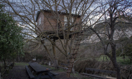 La casa sull'albero per i figli è considerata un abuso edilizio: il Tar ordina di demolirla