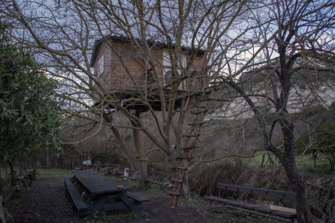 La casa sull’albero per i figli è considerata un abuso edilizio: il Tar ordina di demolirla