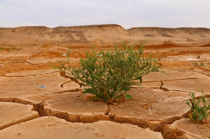 Cambiamenti climatici al primo posto fra le preoccupazioni per l’ambiente