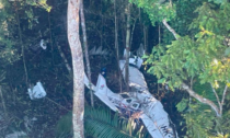 Quattro bambini sopravvissuti a un incidente aereo e dispersi nella foresta amazzonica: corsa contro il tempo per salvarli