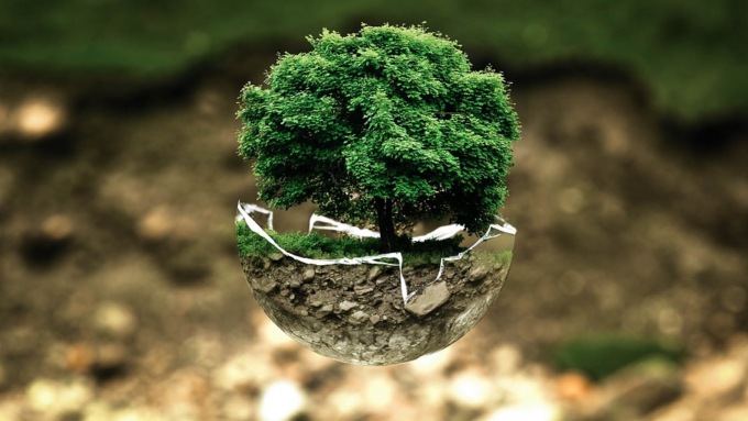 “Ogni pilota un albero”, ecco il progetto di ACI e Carabinieri