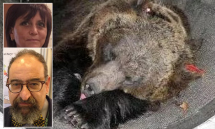 Non è stata un'orsa femmina a uccidere Andrea Papi: l'intervista ai due anatomopatologi forensi