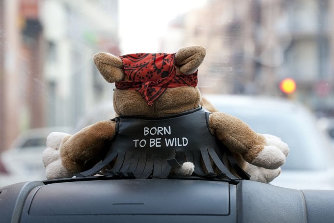 Peluche in auto: quando scatta la multa e a quanto ammonta la sanzione (salata)