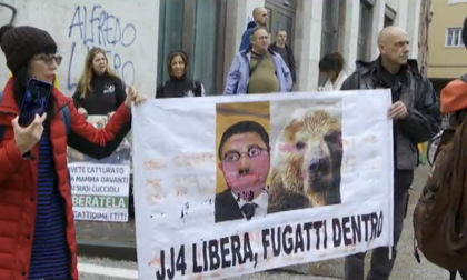 Fugatti firma un'altra ordinanza d'abbattimento, stavolta per due lupi: è la prima in Italia