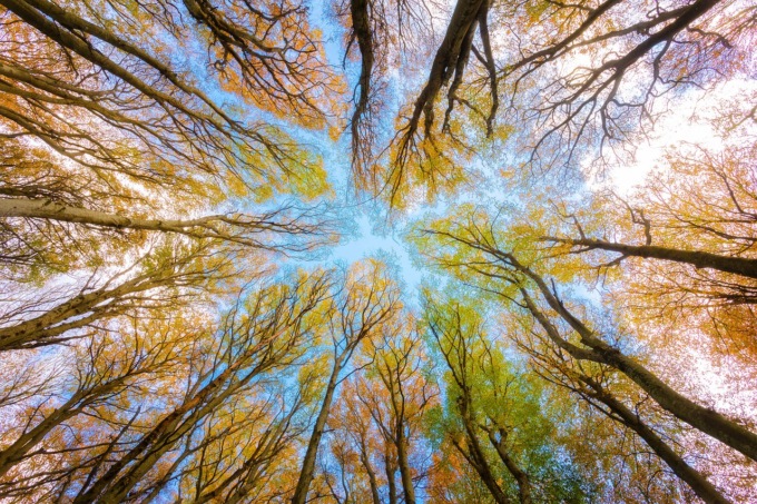 Giornata Mondiale dell’Ambiente, di cosa si tratta?