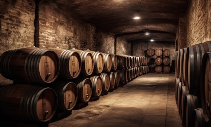La Cantina Tollo e i suoi vini abruzzesi: un connubio di tradizione, passione e sapore