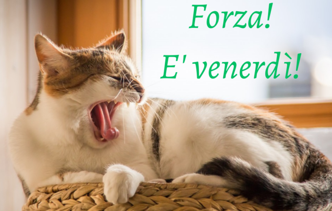 Buongiorno buon venerdì 16 giugno 2023: frasi e immagini gratis da inviare via WhatsApp