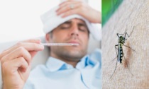 Dengue: due casi in Lombardia e uno in Veneto. Urgente disinfestazione notturna in Brianza