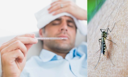Rispunta la febbre dengue: sintomi, come si prende e quanto è pericolosa