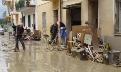 Il Wwf smentisce dieci fake news sull'alluvione che ha devastato l'Emilia Romagna