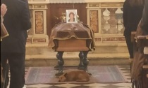 Il cane che va al funerale della padrona e si accuccia triste sotto la bara