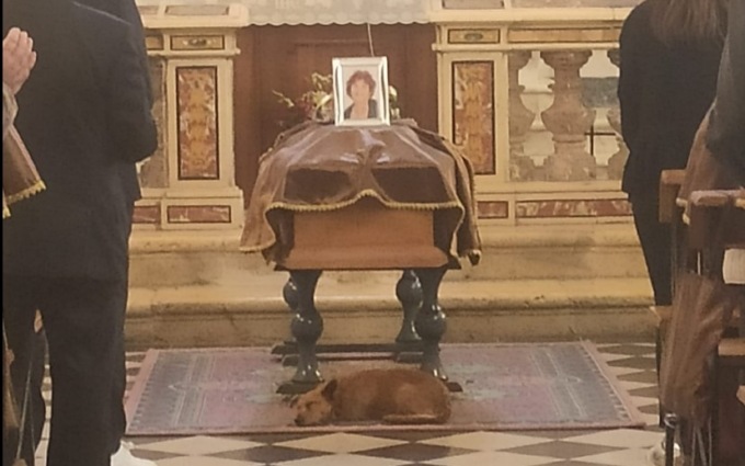 Il cane che va al funerale della padrona e si accuccia triste sotto la bara