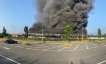 Incendio devasta negozio di animali e mangimi: centinaia di esemplari arsi vivi, intrappolati nelle gabbie