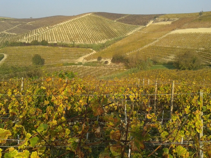 In bici tra le colline del Monferrato