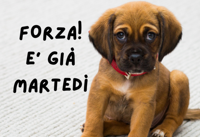 Buongiorno buon martedì 18 luglio 2023: frasi e immagini gratis da inviare via WhatsApp