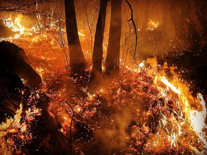 L’Italia nella morsa degli incendi. Chi sono i piromani e perché lo fanno