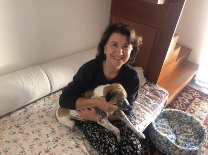 Pluto e Fido? Ora i cani li chiamano Giovanni e Maria e il ministro bacchetta i padroni