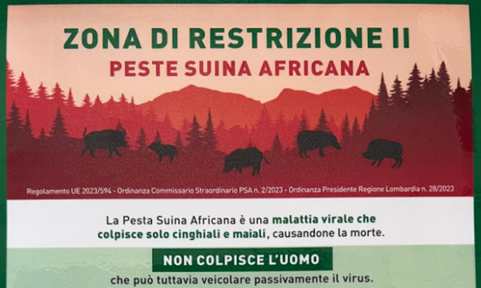 Peste suina africana: ora è un’emergenza nazionale