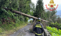 Temporali e forte vento si abbattono sulla Lombardia: grossi danni tra Como, Varese, Lecco e Brescia